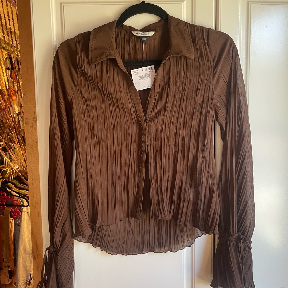 American Eagle Outfitters Brown Sheer Blouse - button front